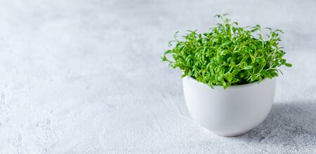 Close up Watercress in Little White Bowl on Light Background.の写真素材