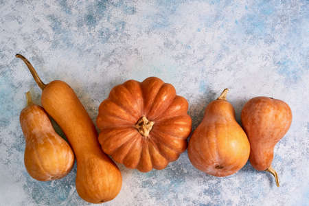 Pumpkin assorted on light blue background. Autumn postcard. Top view Flat lay