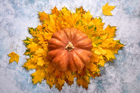 Pumpkin assorted on light blue background. Autumn postcard. Top view Flat layの写真素材