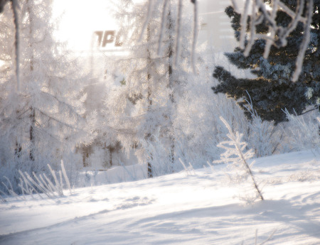 NADYM, RUSSIA - NOVEMBER 20, 2006: Park in Nadym, Russia - November 20, 2006. Winter landscape of nature.のeditorial素材