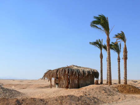 Shelter of palm leaves in the desert near Hurghada Eipta.の写真素材