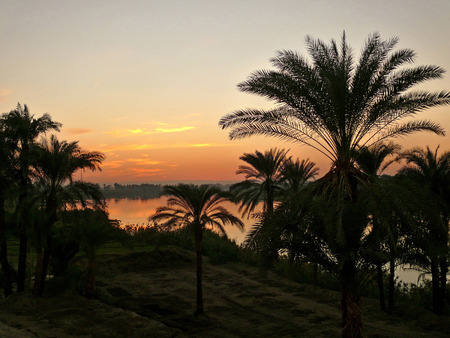 Africa, Egypt. Palma, Neil on sunset background.の写真素材