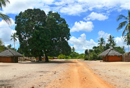DIACA, MOZAMBIGUE - 4 DESEMBER 2008:  the Village. A residential building. Lush mango trees Laden with fruit mango Diaca Strangers villagers are standing under a mango tree.のeditorial素材