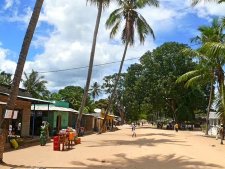 DIACA, MOZAMBIGUE - 4 DESEMBER 2008: the Village. A residential building. Lush mango trees Laden with fruit mango in Diaca, Mozambique - 4 December 2008.The counter on the street. Strangers villagers go about their business.のeditorial素材