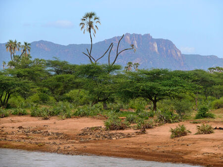River and trees around. Mountains in the background. Africa. Kenya.の写真素材