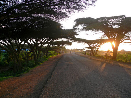 NANYUKI, KENYA - 28 NOVEMBER 2008: The Road among the trees in Nanyuki, Kenya - 28 November 2008.  People cross the road. The village is on the road.のeditorial素材