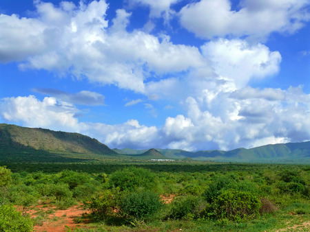 Trip to Africa, Tanzania. The scenery.の写真素材