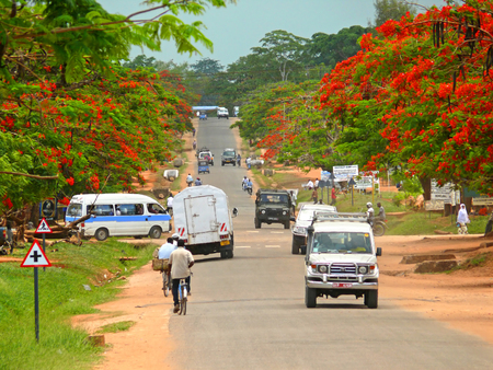 MTWARA, TANZANIA - DESEMBER 3, 2008: The settlement. Cars and men on bicycles go on the road in Mtwara, Tanzania - December 3, 2008.  People go about their business. Flowering trees on the roadside.のeditorial素材
