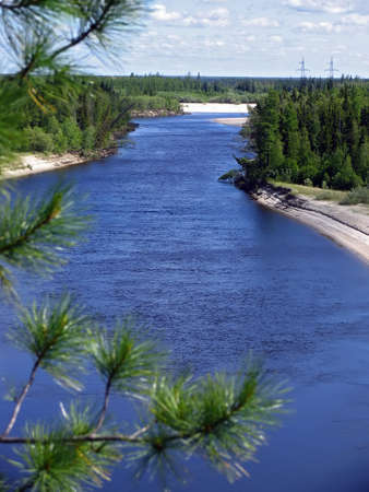 Landscape nature. The river on a background of cedar forests.