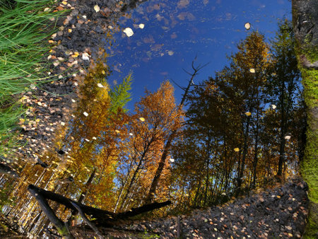 Saturated with light romantic autumn landscape.