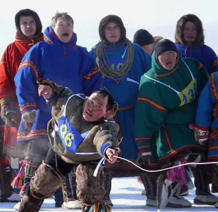 Nadym, Russia - March 15, 2008: the national holiday - the Day of the reindeer herder in Nadym, Russia - March 15, 2008. Sports competitions. Unknown man throws lasso.のeditorial素材
