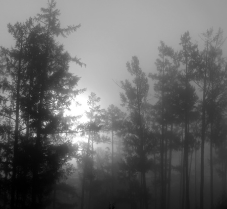 The Nature Of Baikal. Thick Siberian forest. Sunset in the sky.の写真素材