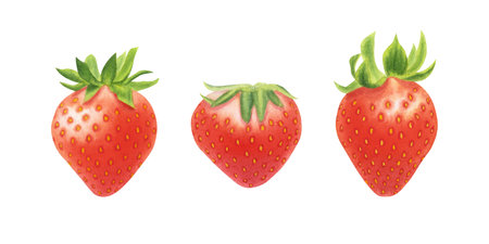 Set of strawberry isolated on white background. Watercolor illustration.の写真素材
