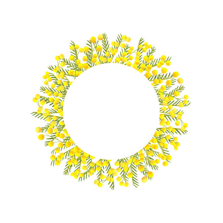 Watercolor mimosa wreath on white background. Round frame of yellow spring flowers. Hand drawn botanical illustration. Template for text, design, cards, invitations, congratulations, packaging, printing, advertisingの写真素材