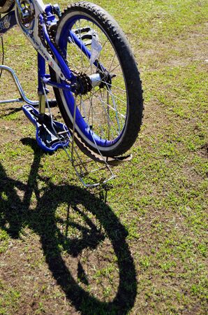 bicycle wheel and its shadow against the background of green grass in the yard of a country house