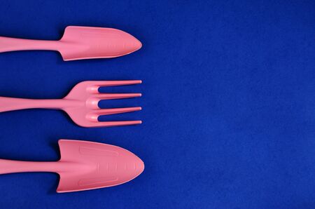 Garden equipment spatula and rake to care for plants on a blue background are lined on the left edge...