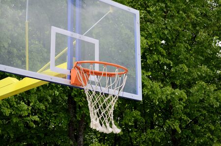 basketball carzine against the background of green trees in the summer in the parkの写真素材