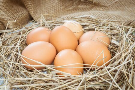Brown eggs in hay, eggs in nest, hen eggs. Sackcloth backgroundの写真素材