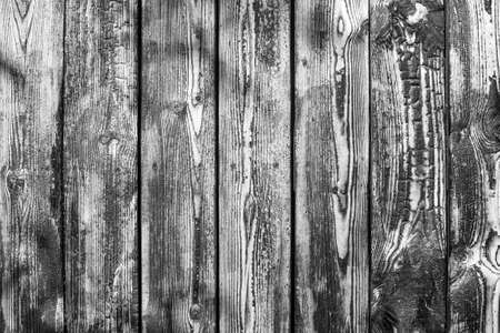 texture of burnt old wood. black and white background for your text. monochrome charred wall after a fireの写真素材