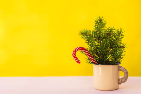 A mug with fir branches and candy cane on a yellow and pink background with copy space.の写真素材