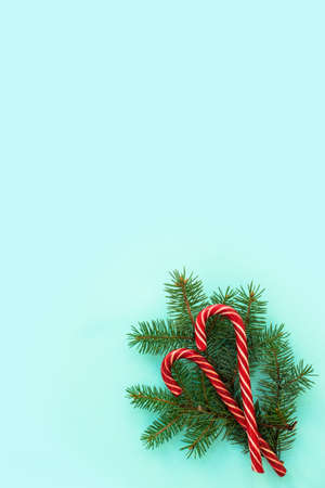 spruce branches and red candies on a blue background. Flat lay, top view, copy space, diagonal....