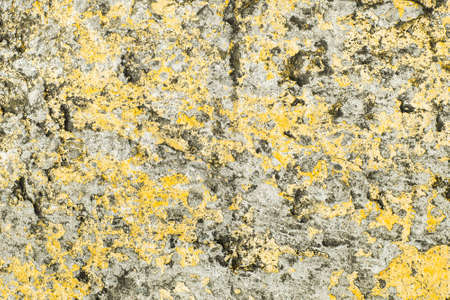 gray with orange marble, concrete aged texture. old, vintage Fortuna Gold background. with roughness and cracksの写真素材