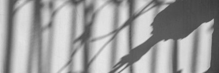 banner. old gray concrete wall. black and white, light and shadow, scuffs and cracks. background,...