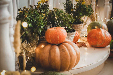 on the porch there are orange pumpkins, flowers. halloween holiday. the threshold, harvest, vegetablesの写真素材