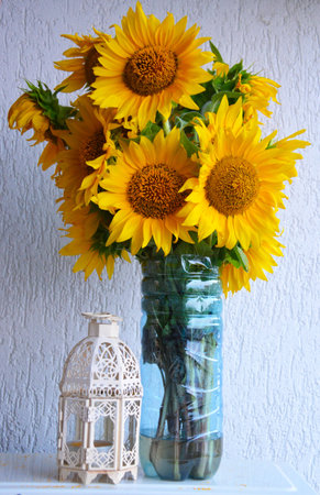 sunflowerの写真素材