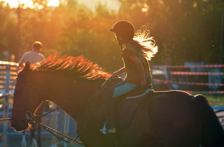 horse ridingの写真素材