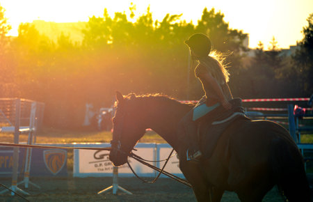 horse ridingの写真素材