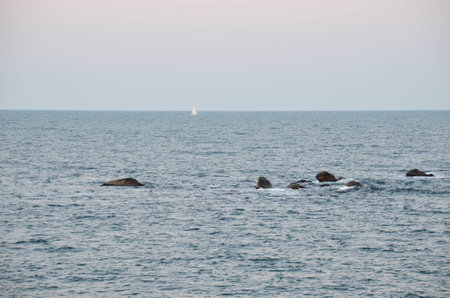 the yachtの写真素材