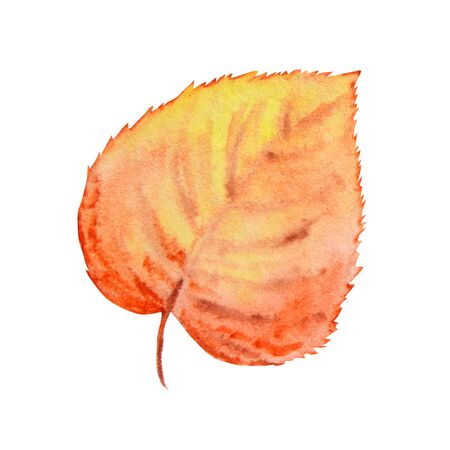 Autumn leaf isolated on a white background. Watercolor autumn leaf hand drawn illustration.の写真素材