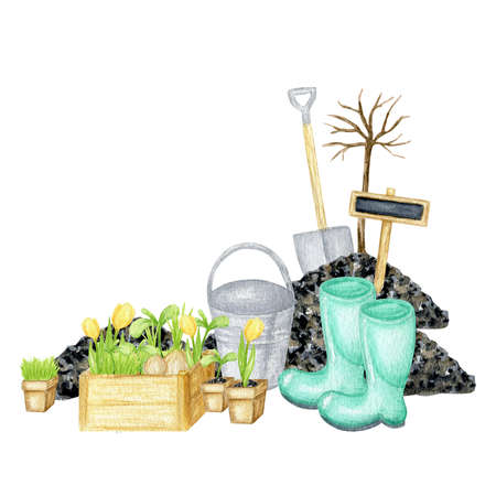 Watercolor garden tools. Hand drawn, rake, bucket, wood box, shovel, watering can illustration isolated on white. Spring, summer template cards, Gardening equipment banner, horticulture conceptの写真素材