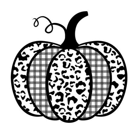 Pumpkin with printsのイラスト素材