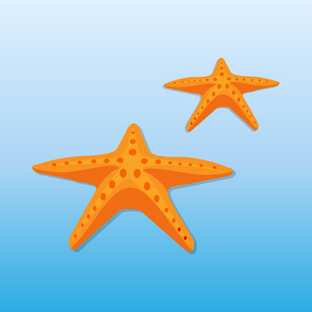 Starfish on a blue background. vector illustrationのイラスト素材