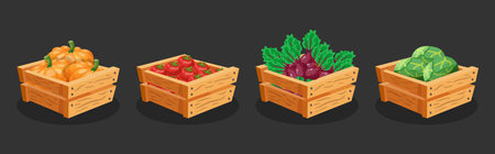A box of pumpkin, tomatoes, beets and cabbageのイラスト素材