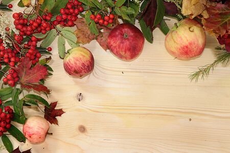 Frame of autumn leaves and rowan berries, apples on a wooden background, flat lay, copy space....