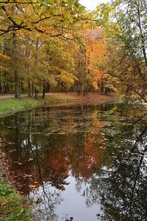 September autumn park in Russia, lake with red leaves and reflection in heavy fog. Beautiful autumn landscape in the park, seasons., A journey through beautiful, Russian, autumn forestsのeditorial素材