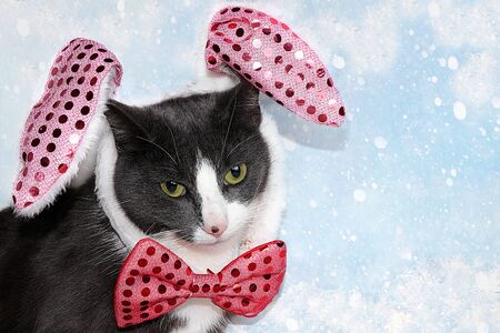 New Year's funny cat in a festive bow and ears on a background of blue snow, holiday card,...
