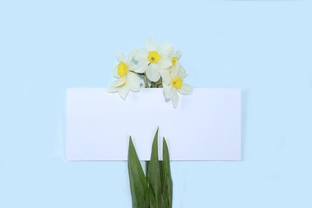 Abstract floral composition, background, minimal holiday concept, spring banner. Creative modern bouquet with daffodils. Greeting card for mother's day, happy birthday,の写真素材