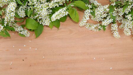 Abstract floral arrangement, blooming bird cherry branches on a wooden background, place for text, flat lay. Creative modern bouquet, minimal spring concept.の写真素材