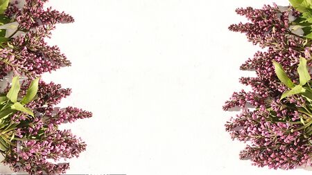 Abstract flower composition, background, minimal holiday concept, spring banner. Lilac branches on a...