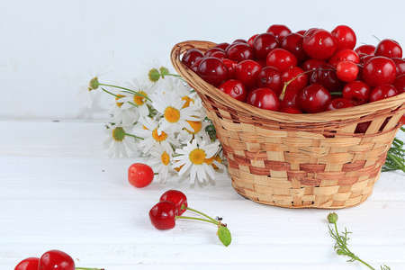 Fresh cherries berries in a basket on a light table, sweet cherries on a wooden light background, selective focus, healthy breakfast, healthy food concept, harvestingの写真素材