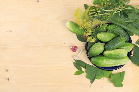 Cucumbers and ingredients for pickling them, healthy and natural food concept. Cucumbers, dill, garlic, currant leaves, cherries, horseradish and basil.の写真素材