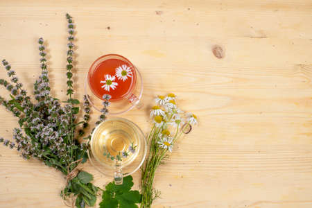 Autumn flower arrangement with useful wild herbs and herbal tea, text space, flat lay,の写真素材