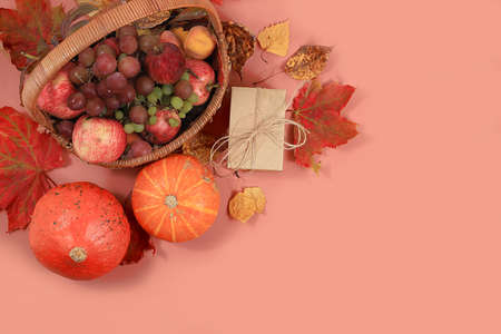 Autumn composition with seasonal leaves, pumpkins, apples on a pastel background, Minimal Happy...