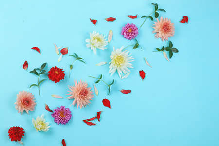 Autumn flower composition, abstract background flat lay, minimal concept of holiday, thanksgiving day. Mother's day card, happy birthday, wedding, place for text,の写真素材