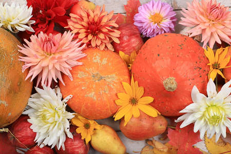 Happy Thanksgiving concept, postcard Autumn background with seasonal pears, pumpkins, apples and flowers on wooden background, selective focus.の写真素材