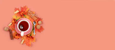 Autumn composition flat lay, seasonal background with maple leaves, cinnamon and tea, place for...